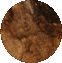 Moon texture